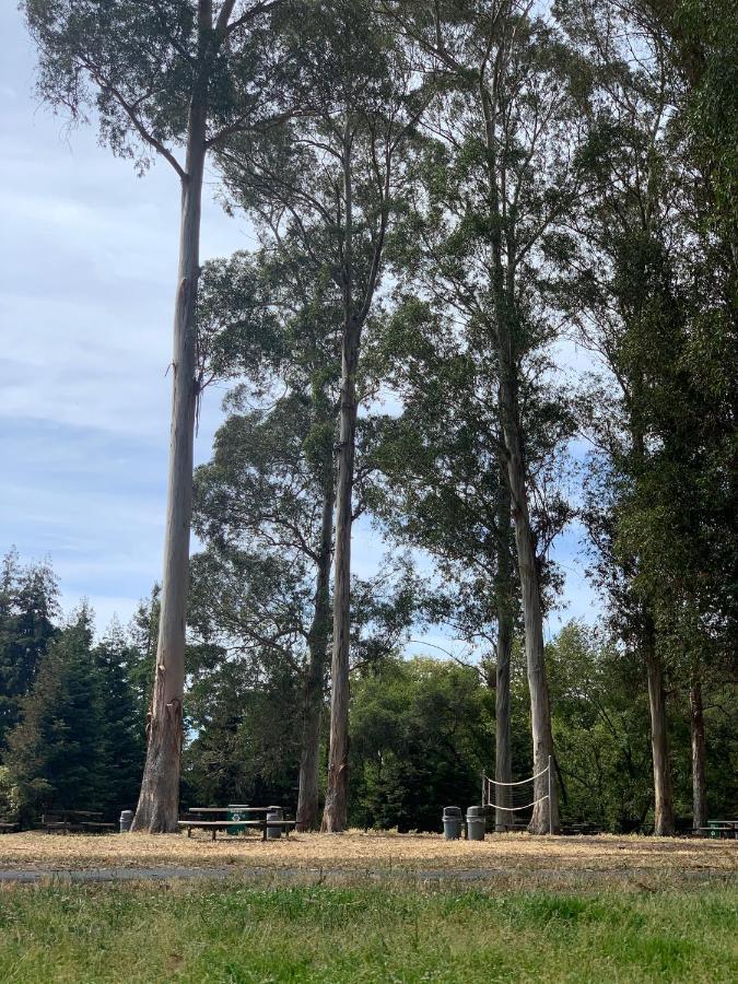 Your Most Romantic And Peaceful Getaway El Sobrante 외부 사진